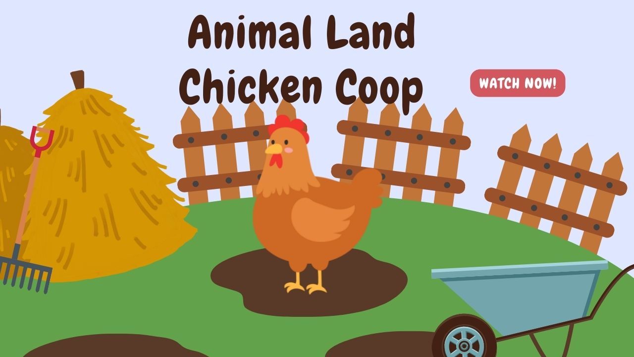 Live Cameras Animal Land Children's Farm